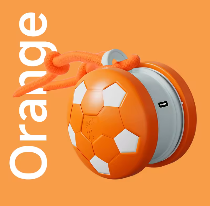 Interactive Dog Ball Toy