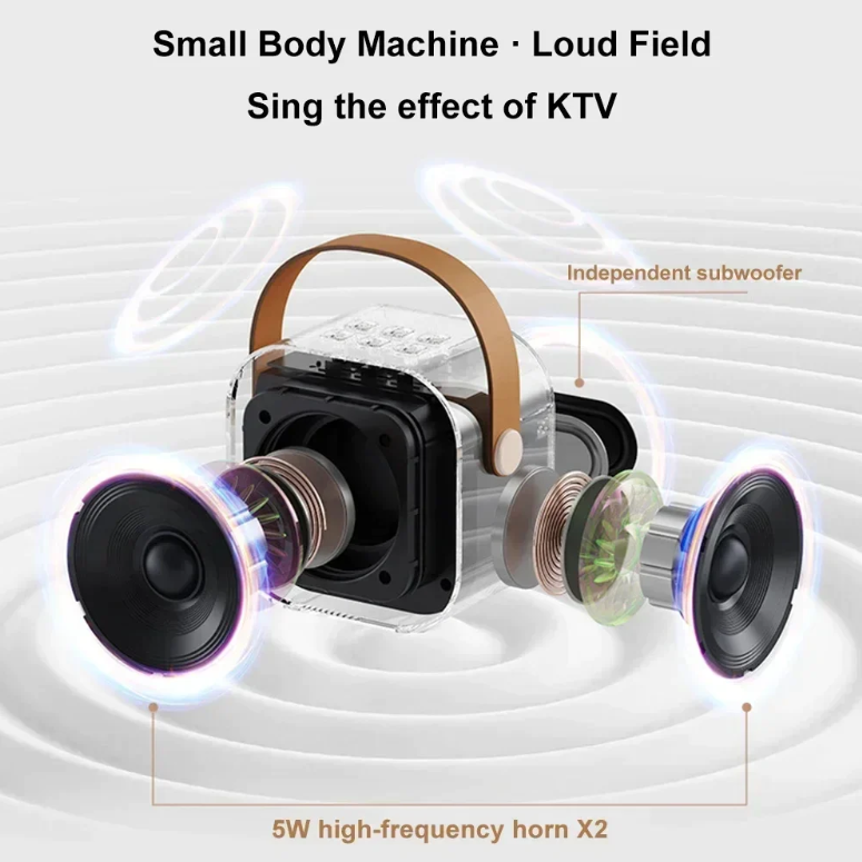 Mini Speaker with Microphone